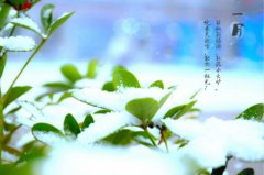 西安萬通，陪你一起經(jīng)歷這四季輪回