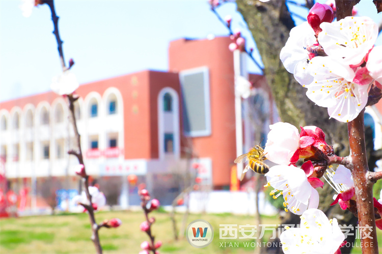 “元素周期表”中尋找西安萬通關鍵詞！